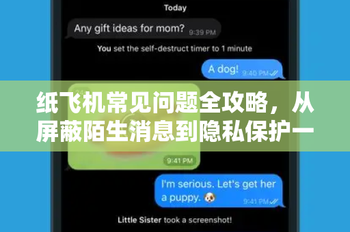 纸飞机常见问题全攻略，从屏蔽陌生消息到隐私保护一次搞定