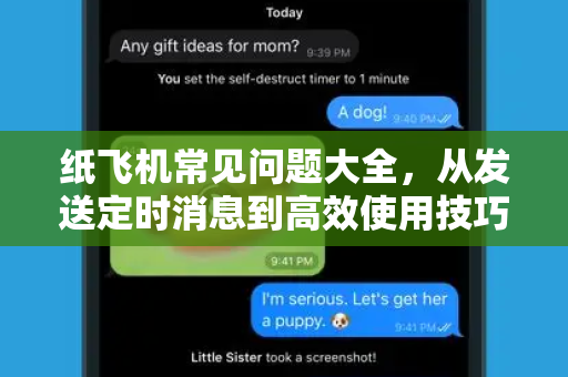 纸飞机常见问题大全，从发送定时消息到高效使用技巧