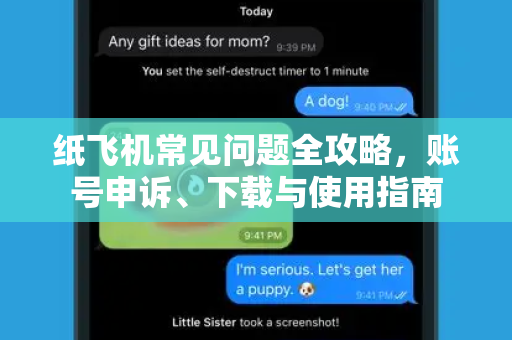 纸飞机常见问题全攻略，账号申诉、下载与使用指南
