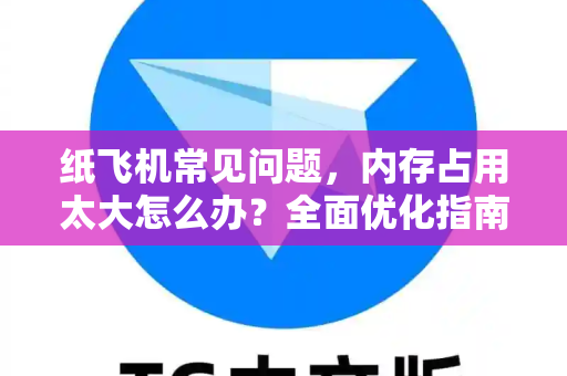 纸飞机常见问题，内存占用太大怎么办？全面优化指南与实用技巧