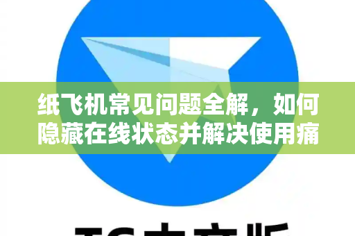 纸飞机常见问题全解，如何隐藏在线状态并解决使用痛点