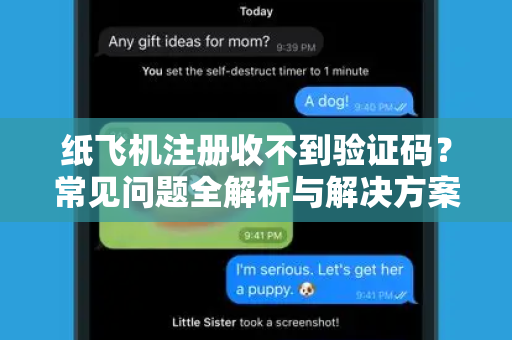 纸飞机注册收不到验证码？常见问题全解析与解决方案