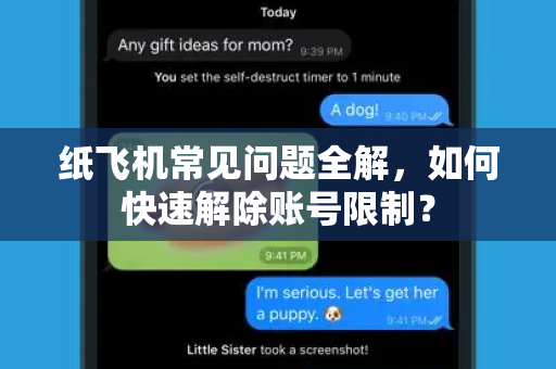 纸飞机常见问题全解，如何快速解除账号限制？