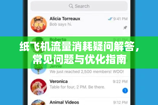 纸飞机流量消耗疑问解答，常见问题与优化指南