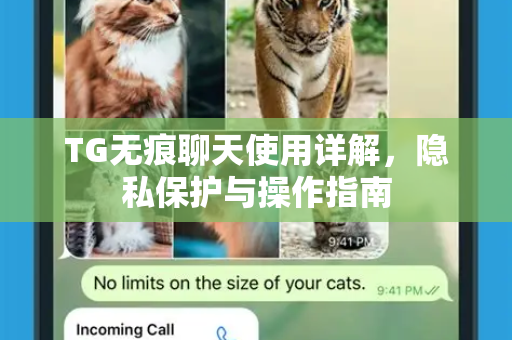 TG无痕聊天使用详解，隐私保护与操作指南