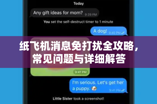 纸飞机消息免打扰全攻略，常见问题与详细解答