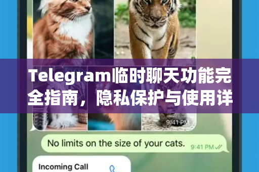 Telegram临时聊天功能完全指南，隐私保护与使用详解