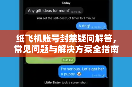 纸飞机账号封禁疑问解答，常见问题与解决方案全指南