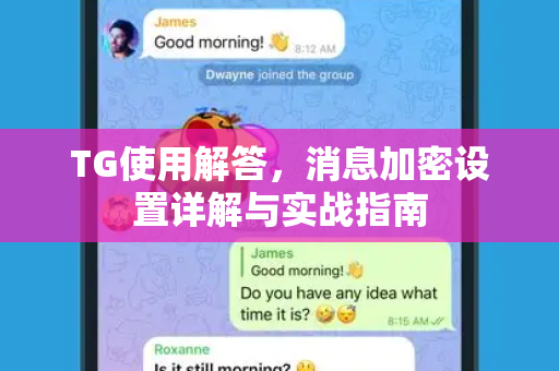 TG使用解答，消息加密设置详解与实战指南