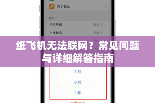 纸飞机无法联网？常见问题与详细解答指南