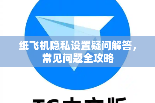 纸飞机隐私设置疑问解答，常见问题全攻略