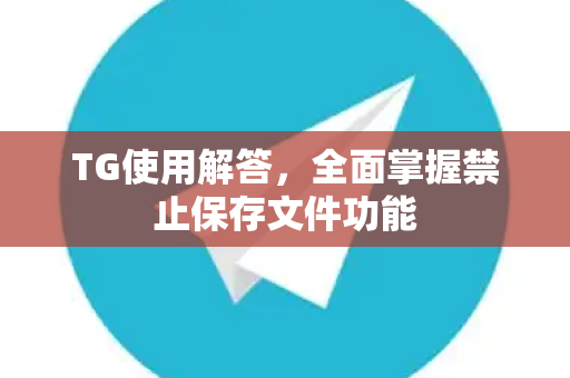 TG使用解答，全面掌握禁止保存文件功能